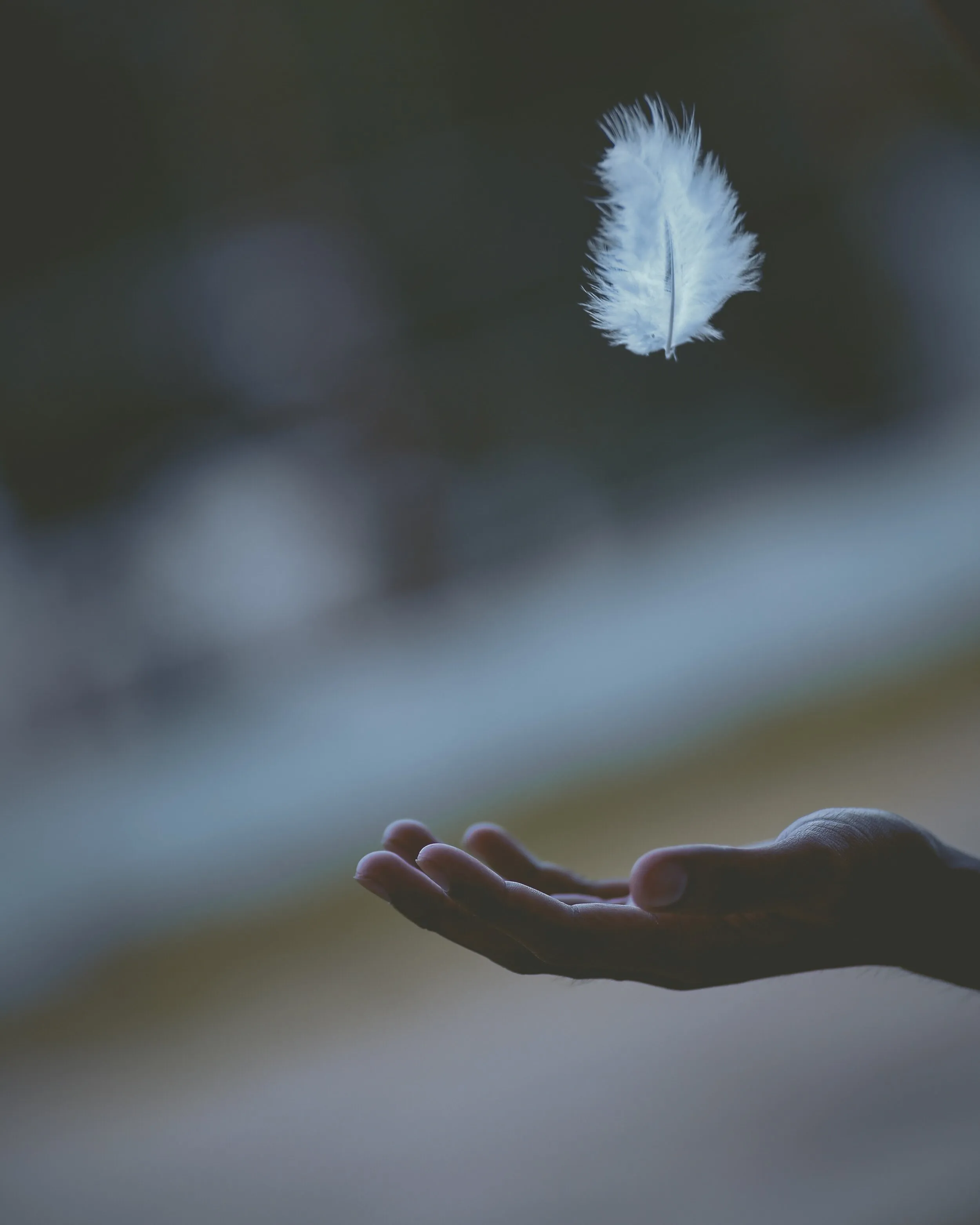A white feather floating above an open hand